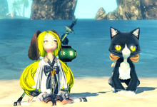 Blade&Soul